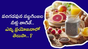 పరిగడపున సబ్జగింజల నీళ్లు తాగితే.. ఎన్ని ప్రయోజనాలో తెలుసా..?