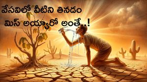 Summer Must Foods : వేసవిలో వీటిని తినడం మిస్ అయ్యారో అంతే..!
