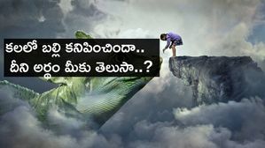 కలలో బల్లి కనిపించిందా.. దీని అర్థం మీకు తెలుసా..?