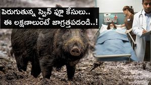 పెరుగుతున్న స్వైన్ ఫ్లూ కేసులు.. ఈ లక్షణాలుంటే జాగ్రత్తపడండి..!