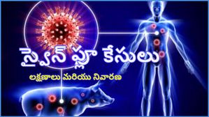 Swine Flu : స్వైన్ ఫ్లూ కేసులు-అక్కడ హై అలర్ట్, లక్షణాలు మరియు నివారణ, ఎవరికి ఎక్కువ ప్రమాధం.!