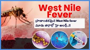 ప్రాణాంతకమైన West Nile fever మూడు జిల్లాల్లో హై అలర్ట్, ఈ ప్రమాదకరమైన వ్యాధి లక్షణాలు మరియు నివారణ చర్యలు..