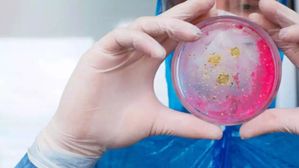 మనిషి శరీరంలో అవయవాలను తినేస్తోన్న బ్యాక్టిరియా.. జపాన్‌లో విజృంభిస్తోన్న స్ట్రెప్టోకొక్కస్ వ్యాధి..!