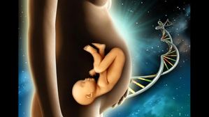 మనం పుట్టక ముందే ఈ విషయాలు నిర్ణయించబడతాయ్..! వీటిని ఎవ్వరూ మార్చలేరు..!
