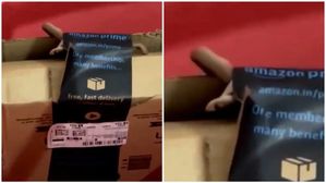 Viral Videos : అమెజాన్ పార్సెల్‌లో తాచు పాము..చాక్లెట్ సిరప్‌లో చచ్చిన ఎలుక.. ఏ పార్సెల్‌లొ ఏమి వుందో..!