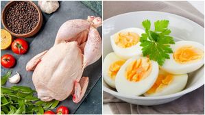 కోడి మేలా, కోడి గుడ్డు మేలా, చిల్లీ చికెన్, ఆమ్లేట్, మీకు ప్రోటీన్లు కావాలాంటే... !! 