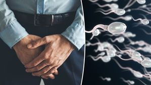 దంపతులకు ఆరోగ్యకరమైన గర్భధారణకు ఆరోగ్యకరమైన స్పెర్మ్ కావాలి. అందుకు పురుషులు ఏం చేయాలంటే?