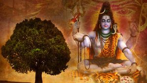 రుద్రక్ష ధరిస్తే ఎన్నో ఉపయోగాలు..! రుద్రాక్ష వేసుకుంటే ఫలితం స్పష్టంగా బయటపడుతుంది..!