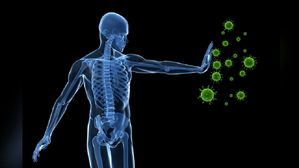 వీటిని తింటే.. రోగాలు మిమ్మల్ని టచ్ కూడా చేయవు..!