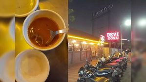 Viral Videos : సాంబార్‌లో చచ్చిన ఎలుక.. పని చేయకున్నా 20 ఏళ్ల జీతం ఇచ్చినందకు కంపెనీ పైనే కేసు..!