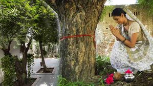 ఇంటి ముందట ఈ మొక్కలు వస్తే లక్ష్మీదేవి వచ్చినట్టే..? ఏ మొక్క పెరిగితే ఏమవుతుందో తెలుసా..?