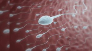 వీర్యం వృద్ధి చెందాలంటే ఈ ఒక్కటి రోజుకు రెండు తింటే సరిపోతుంది..!