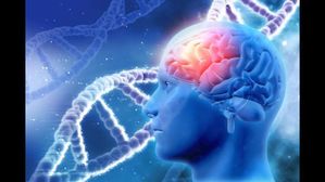 మీ మెదడును చురుగ్గా చేయాలనుకుంటున్నారా..? అయితే ఈ టిప్స్ పాటించండి..!