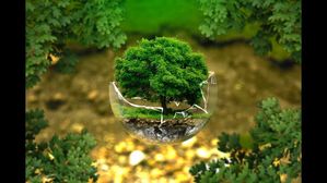 World Environment Day 2024 : ప్రపంచ పర్యావరణ దినోత్సవ శుభాకాంక్షలు ! అనుక్షణం మనల్ని పరిరక్షిస్తున్న ప్రకృతి !