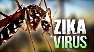 హడలెత్తిస్తున్న ప్రాణాంతక వైరస్ Zika Virus లక్షణాలు, కారణాలు, నివారణ చర్యలు