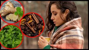 ఈ 3 వంటింటి పదార్థాలు వర్షాకాలంలో వ్యాధులను దూరం చేస్తాయి. రోగనిరోధకతను పెంచుతాయి