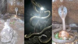 శ్రీశైలంలో శివలింగాన్ని చుట్టుకున్న పాము.. తొలిఏకాదశి ముందు రోజే అద్భుతం..!