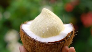 కొబ్బరి పువ్వు తింటే ఇన్ని ఆరోగ్యప్రయోజనాలా..!! బరువు కూడా తగ్గిస్తుంది ఇంకా ఎన్నో..!!