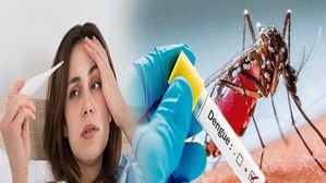 డెంగ్యూ జ్వరం లక్షణాలు: శరీర ఉష్ణోగ్రతను వేగంగా తగ్గించడంలో హైడ్రోథెరపీ? ఎలా చేయాలి? 