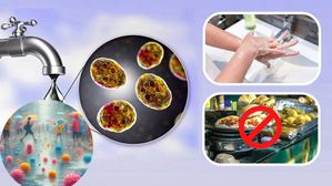 వర్షాకాలం వచ్చేసింది.! నీటి ద్వారా వచ్చే వ్యాధుల నుండి మిమ్మల్ని మీరు ఇలా రక్షించుకోండి