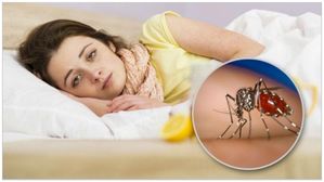 Dengue Test జ్వరం వచ్చిన తర్వాత డెంగ్యూ పరీక్ష ఎప్పుడు చేయాలి, ఏ పరీక్ష చేయించుకోవాలి