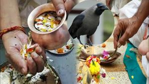 పితృదోషం వల్ల ఈ భయంకరమైన  సంఘటనలు జరుగుతాయి, వాటి నుండి బయటపడటానికి ఈ పరిహారాలు చేయండి