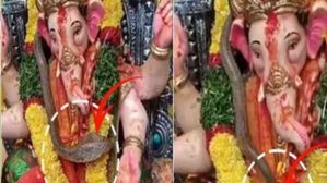 వినాయక ఉత్సవాల్లో అద్భుతం: రియల్ నాగుపాము గణపతి మెడలో ఆభరణంగా చేరింది: వీడియో వైరల్ అయ్యింది