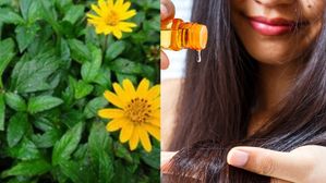 ఈ హెయిర్ ఆయిల్ వాడితే.. జుట్టును ఎంత లాగినా ఊడదు.. ఎక్కడ దొరుకుతుందో తెలుసా?