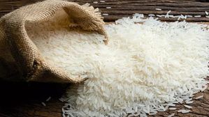 బియ్యంలో పురుగులు పడుతున్నాయా?.. అయితే ఈ చిట్కాలతో వాటిని దూరం చేయండి!