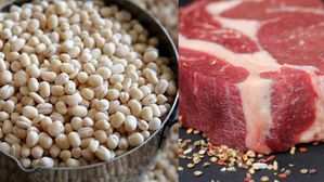 ఈ పప్పు తింటే మాంసంతో సమానం.. ఎక్కడ దొరుకుతుందో తెలుసా?