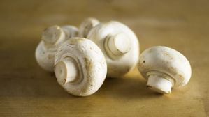 పుట్ట గొడుగుల గురించి ఈ విషయాలు తెలిస్తే షాక్ అవుతారు.. తినే ముందు తెలుసుకుంటే మంచిది!