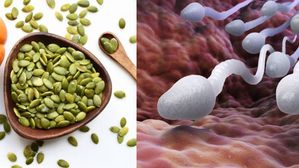 మగతనం పెరగాలంటే ఈ గింజలు తినాలంట.. ఎక్కడ దొరుకుతాయంటే?!