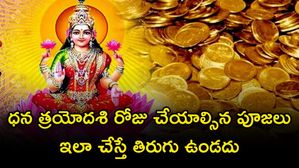100 ఏళ్లలో ఒక్కసారి వచ్చే అరుదైన రోజు.. ధన త్రయోదశి రోజు ఈ పూజలు చేస్తే డబ్బే డబ్బు!