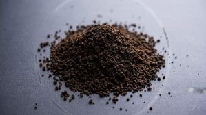 వాడి పడేసిన టీ పొడితో ఇన్ని లాభాలా? తెలిస్తే ఇంకోసారి పడేయరు!