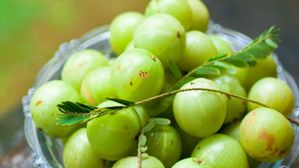 పొద్దున్నే పరగడుపున ఉసిరి తింటే ఎన్ని ప్రయోజనాలో తెలుసా? జట్టు రాలడం కూడా తగ్గిపోతుంది