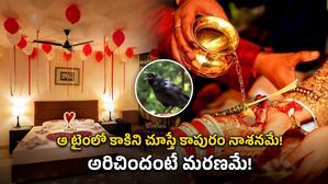 ఆ టైంలో కాకిని చూస్తే కాపురం నాశనమే!..అరిచిందంటే మరణమే!