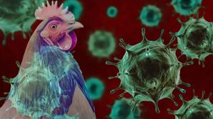 2025లో ఈ వైరస్ పెను విధ్వసం సృష్టించబోతోంది.. సైంటిస్టుల సంచలన ప్రకటన