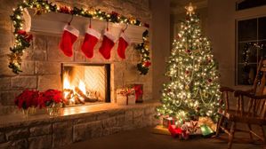 Christmas: క్రిస్మస్ చెట్టు గురించి ప్రతి ఒక్కరూ తెలుసుకోవాల్సిన విషయాలు.. ఇందులో ఇంత అర్ధం ఉందా?