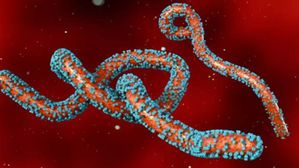 2024లో అత్యంత ప్రాణాంతకమైన వ్యాధులు ఇవే.. జాగ్రత్తగా ఉండకపోతే 2025లో కూడా..