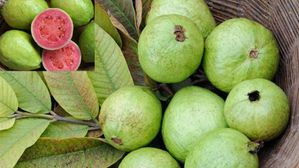 Guava: కట్ చేయకుండానే జామకాయ మంచిదో కాదో ఇలా తెలుసుకోండి..ఎరుపు,తెలుపు మధ్య తేడా ఇదే