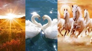 Vastu: ఇంట్లో ఈ 5 పెయింటింగ్స్ ఉంటే.. డబ్బు ప్రవాహం, జీవితంలో సానుకూల మార్పులు