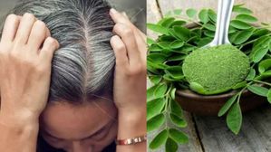 ఈ పొడిని కొబ్బరినూనెలో కలిపి తలకు పట్టిస్తే..10 నిమిషాల్లోనే తెల్ల జుట్టు నల్లగా!