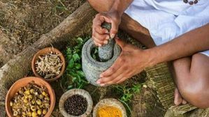 ఎలాంటి లైంగిక సమస్యనైనా పరిష్కరిచే ఆయుర్వేద మూలికలు ఇవే..శృంగారంలో రెచ్చిపోవచ్చు