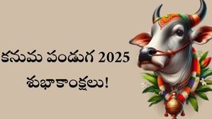 Kanuma Wishes in Telugu: అందరికీ నచ్చేలా కనుమ శుభాకాంక్షలను ఈ విధంగా తెలియజేయండి