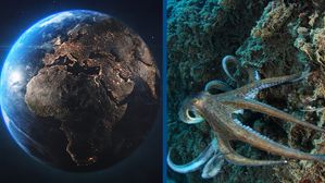 శాస్త్రవేత్త ప్రకటన.. మానవ జాతి అంతం అయ్యేది అప్పుడే! మన తరువాత భూమిని ఎవరు పాలిస్తారంటే?