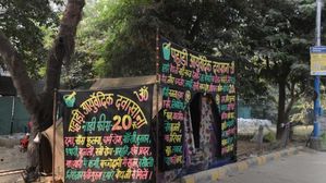 రోడ్డు సైడ్ అమ్మే మూలికలతో నిజంగానే శృంగార సామర్థ్యం పెరుగుతుందా? అసలు నిజం ఇదే..