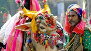 Kanuma 2025: కనుమ రోజు ఎందుకు ప్రయాణాలు చేయకూడదు? చేస్తే ఏమవుతుంది? అసలు రహస్యం ఇదే