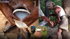 తాటికల్లుతో వచ్చే లాభాలు తెలిస్తే తాగకుండా ఉండలేరు..కల్లు-నీరా మధ్య తేడా ఇదే