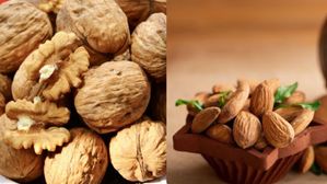 వాల్ నట్స్,బాదంపప్పు..మెమోరీ బాగా షార్ప్ గా ఉండాలంటే ఏది తినాలో తెలుసా