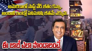 అమెరికాలో సాప్ట్ వేర్ జీతం కన్నా..అంబానీ ఇంట్లో పనిమనిషి శాలరీనే ఎక్కువ!..ఈ జాబ్ ఎలా పొందాలంటే
